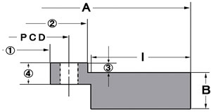 Biot ROTOR 補修用ローター(L.R/1SET)6