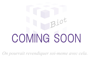 リア 純正交換 gout 2ピースローター ヴェルファイア 40系